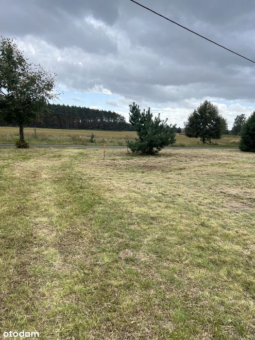 Działka budowlana 3010 m² prąd w drodze