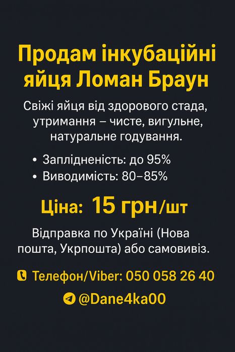 Ломан браун инкубационние яйца