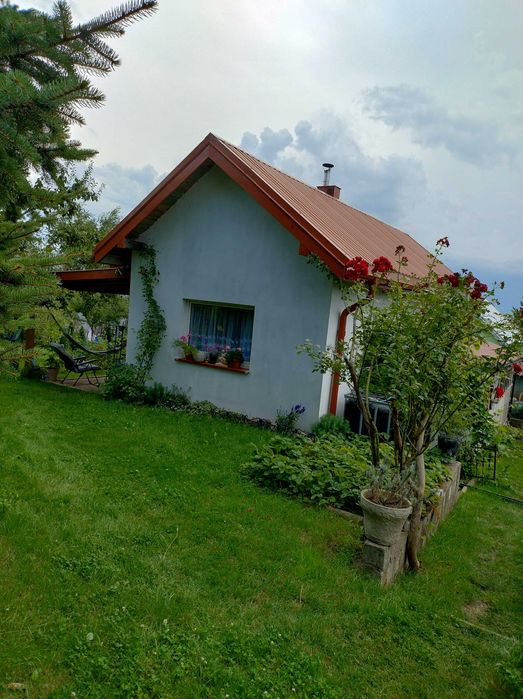 Sprzedam działkę ROD w Piątnicy Forty na Wzgórzu.