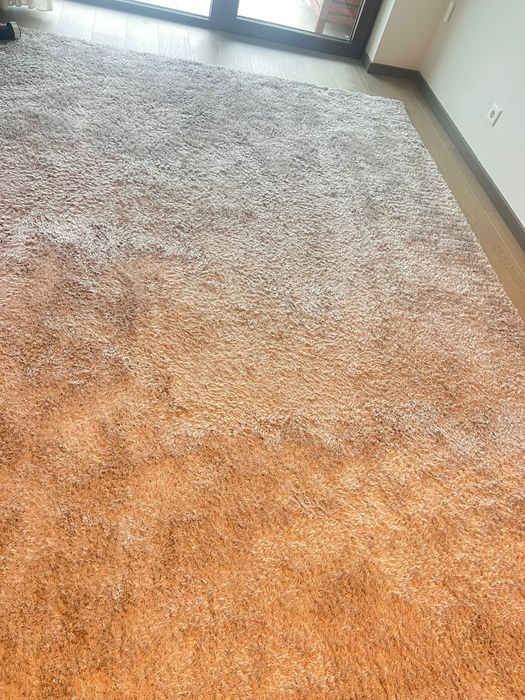 Tapete cinzento para sala e/ou  quarto 300€ Medidas 230 cms x 320 cms