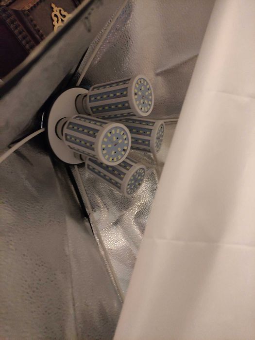 Iluminação fotografia - 2 focos profissionais