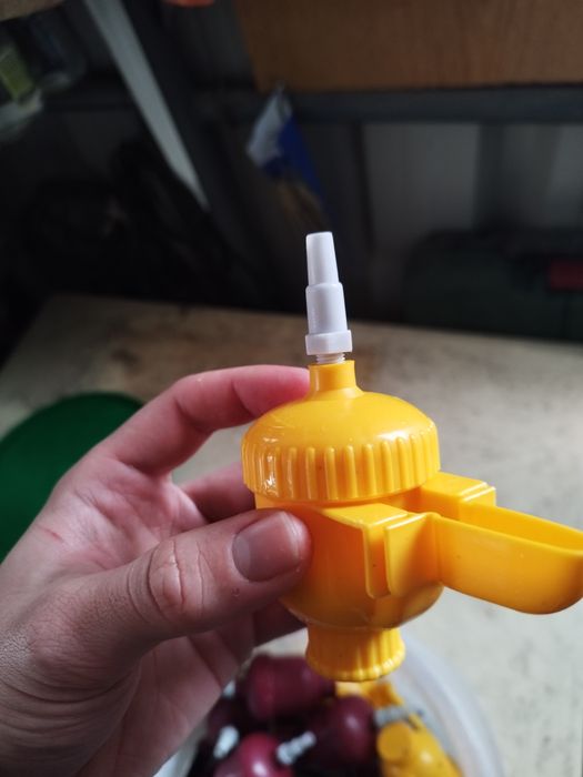 Bebedouro automático
