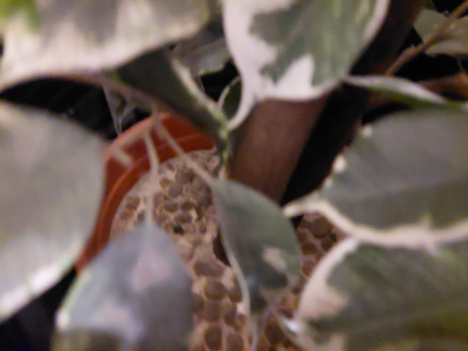 Vaso grande com planta artificial