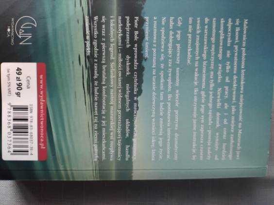 Książka kryminał Nudziarz