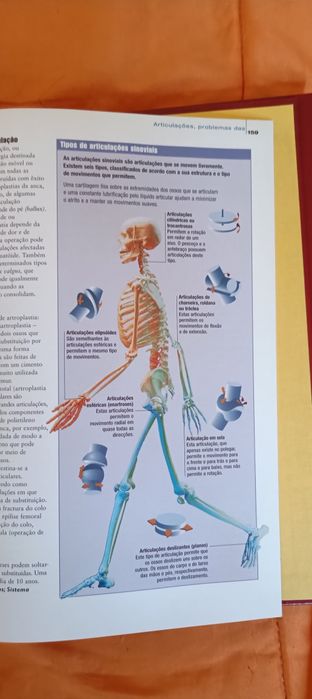 Nova Enciclopédia de Medicina e Saúde