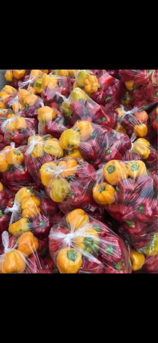 Papryka Świeża od producenta