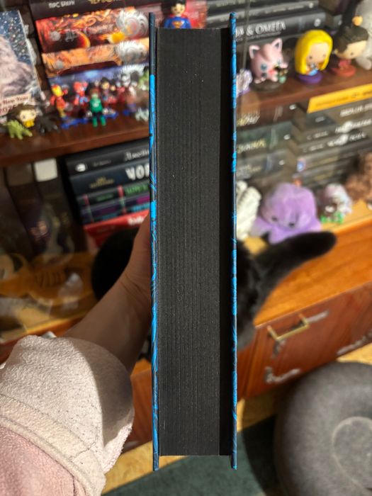 Мідноголовий демон, Барбара Кінґсолвер