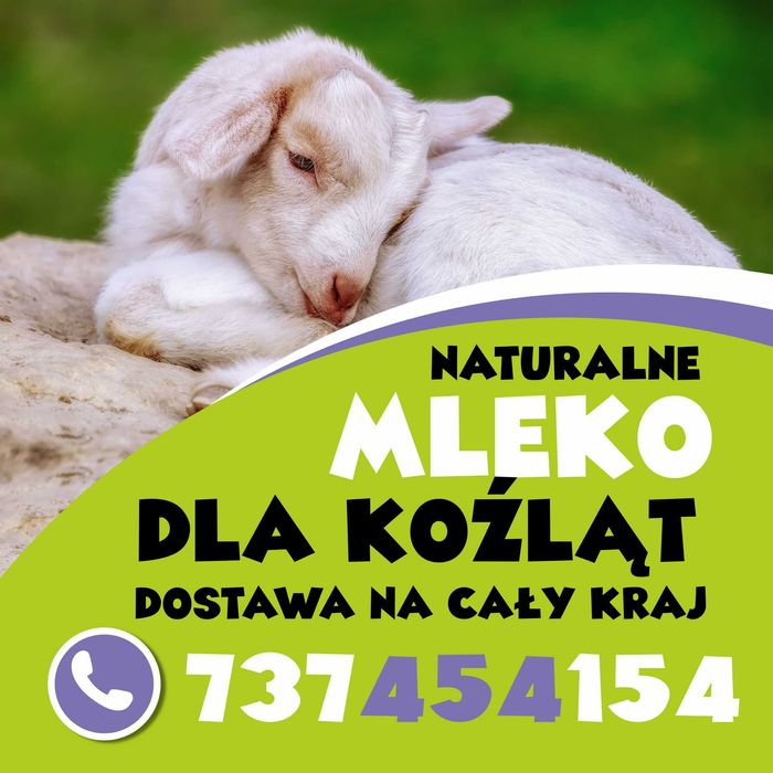 mleko dla koźląt jagniąt owce kozy cały kraj