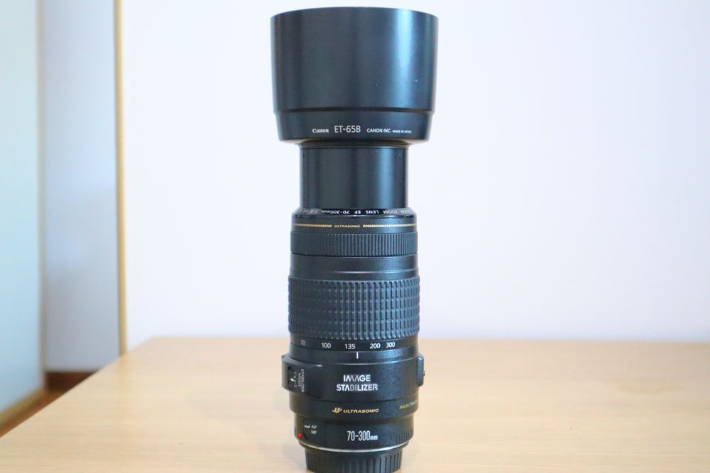 Canon EF 70-300mm f/4-5.6 IS USM
