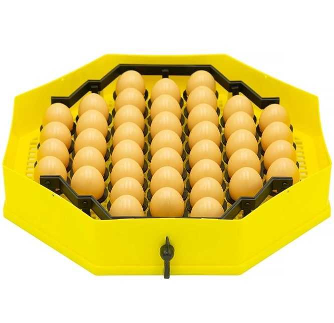 Inkubator, wylęgarka klujnik CLEO 5, półautomat 41 jaj - 60 jaj