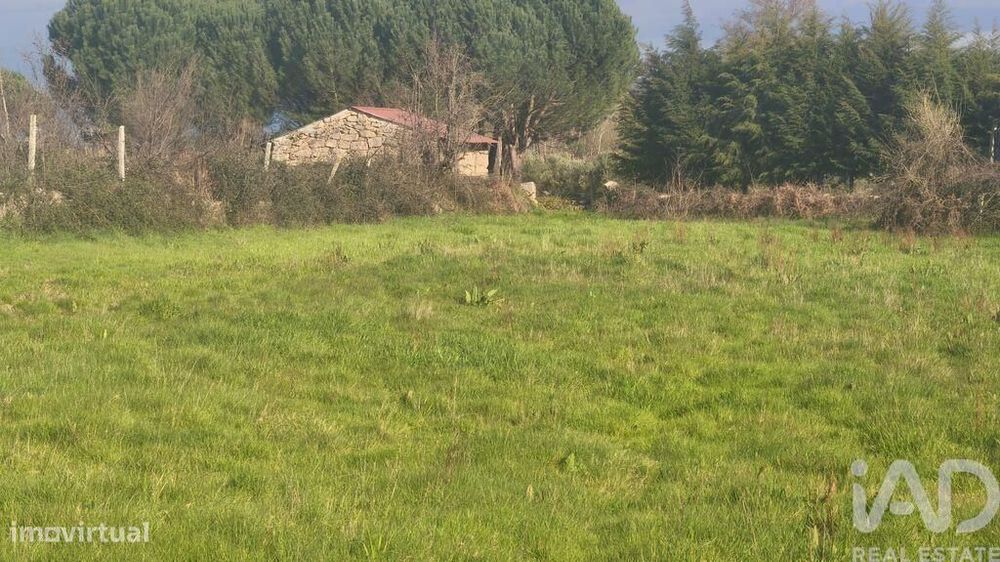 Terreno Agrícola em Seixo da Beira
