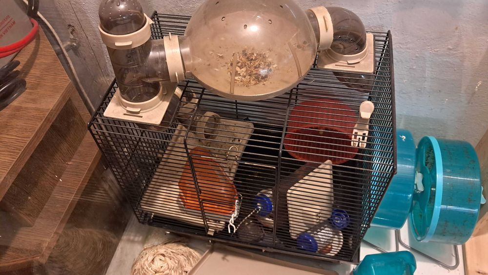 Akwarium terrarium - zestaw do hodowli