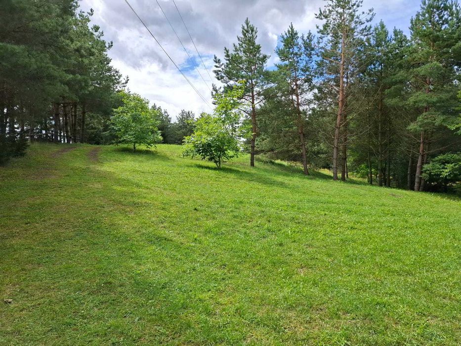 Domek letniskowy nad Rospudą