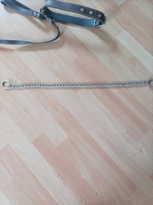 Ошейник,поводок,цепь.