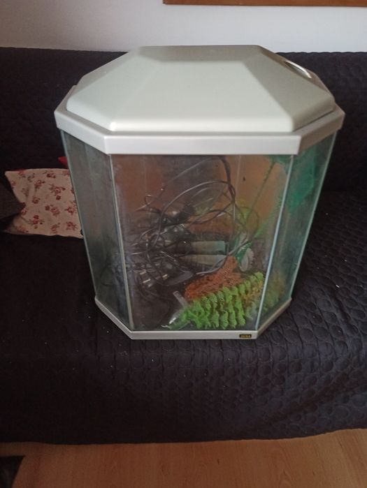 Aquário com acessórios