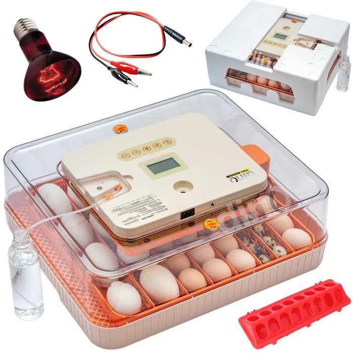 INKUBATOR AUTOMATYCZNY DINO PRO klujnik 56 JAJ 12V 230V do jaj kurzych