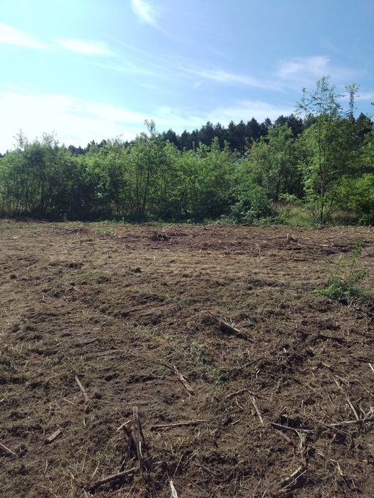 Mulczowanie karczowanie czyszczenie działek