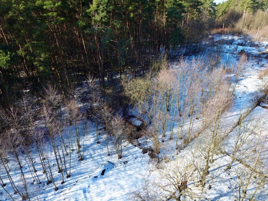 Дачні земельні ділянки біля лісу поруч з Львовом, с. Шпильчина (19 км)