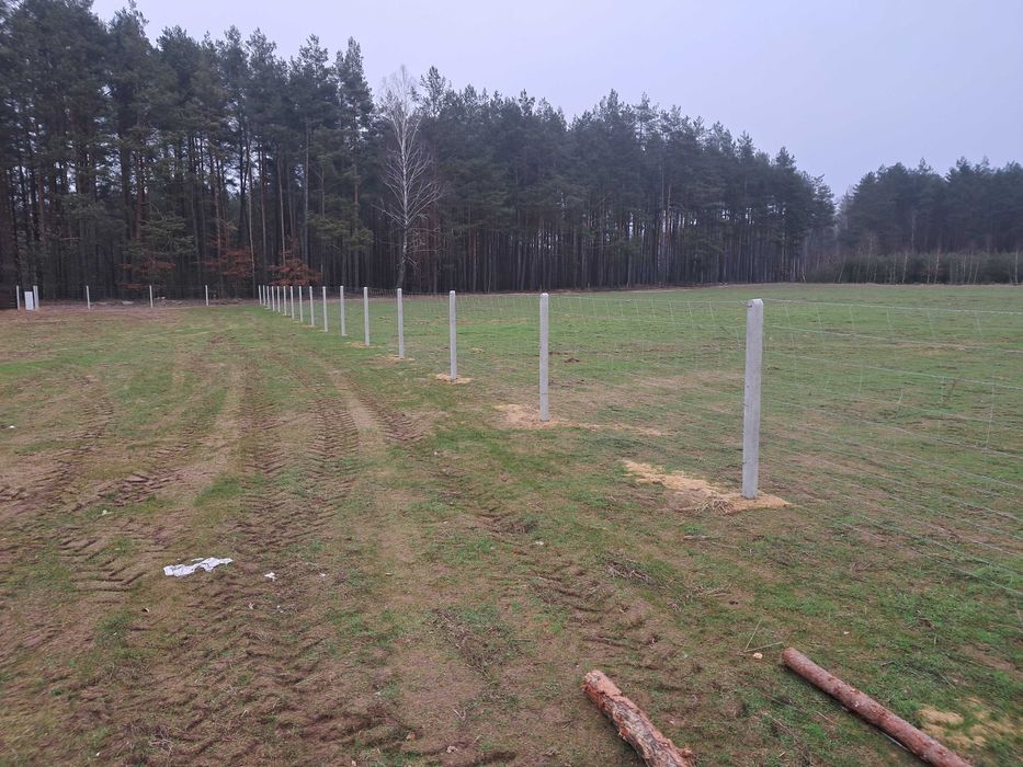 Ogrodzenie z siatki leśnej płot płoty tymczasowe słupki słupek