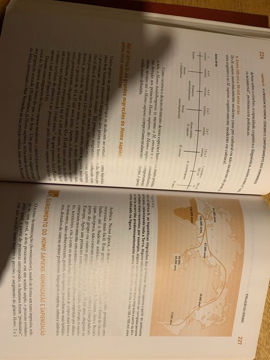 Livro “A Evolução do Cérebro”