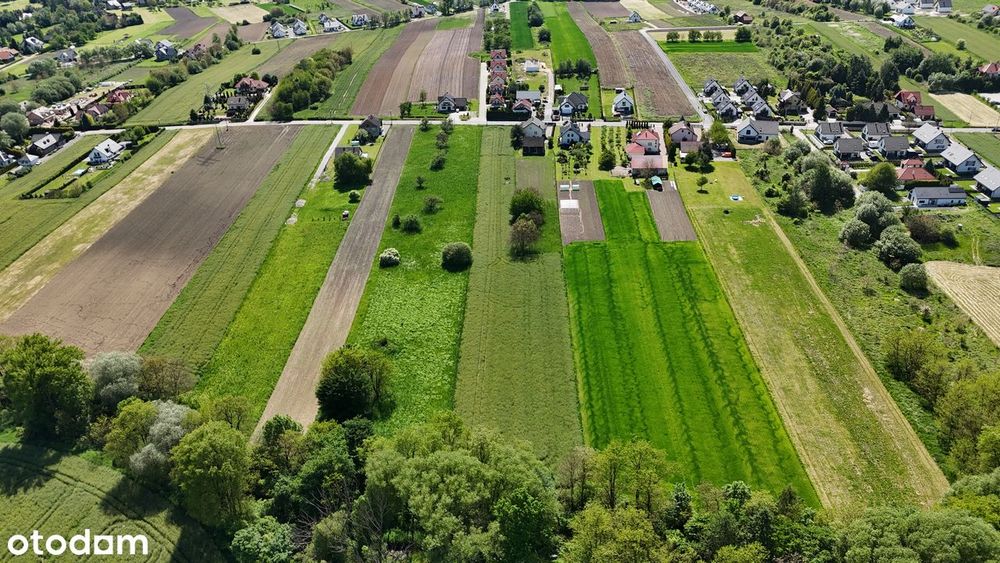 Działka położona jest w cichej, zielonej części Kobylan - Widok 5