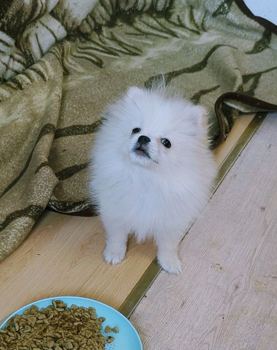 Хлопчик білого кольору