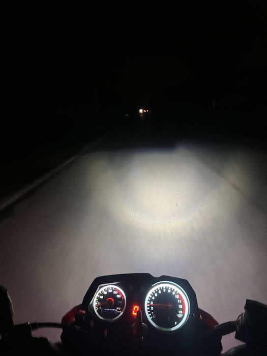 Продам Мустанг фості