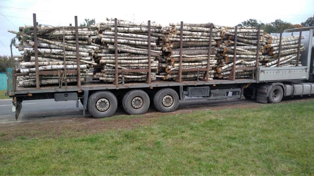 Дрова Берёза Кругляк ОПТ с Доставкой в Киев