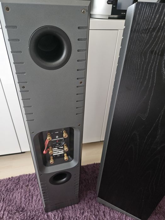 Audiovector M3 signature Kimber 4PR gratis