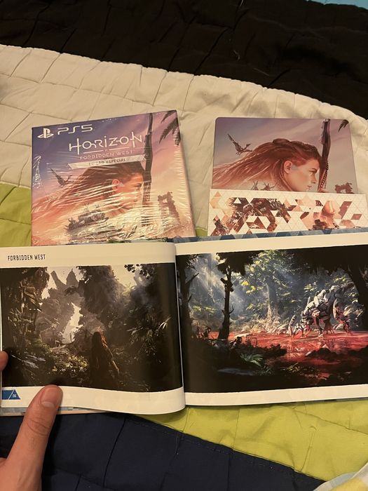 Horizon Forbidden West edição especial PS5