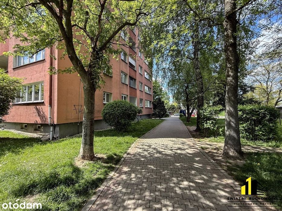 Słoneczne mieszkanie 48 m2 z ogromnym potencjałem