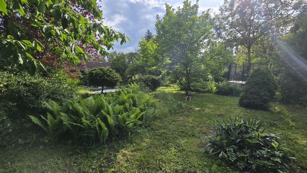Ogródek działkowy 700m² R.O.D Bytom Dworska