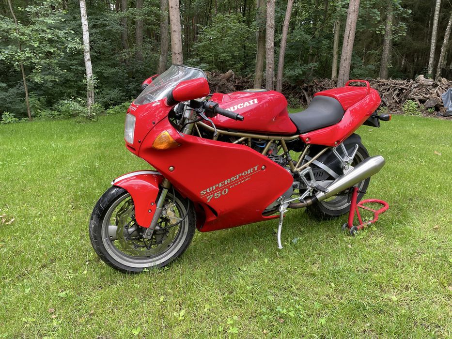 Ducati 750 ss papuga