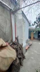 Участок земли с ветхим строением возле самого пляжа в Одессе.