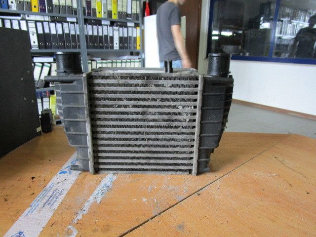 Radiador do intercooler RENAULT Clio III (BR0/1, CR0/1)