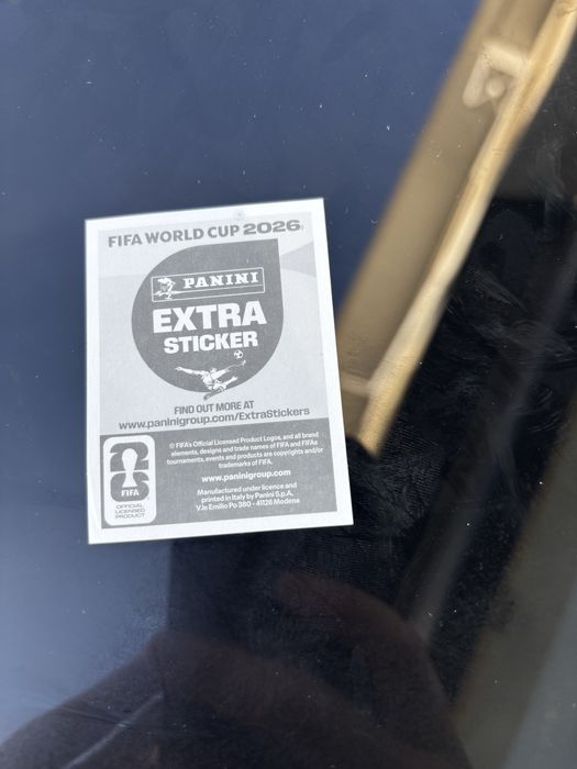 Ronalndo e haaland Extra stickers panini