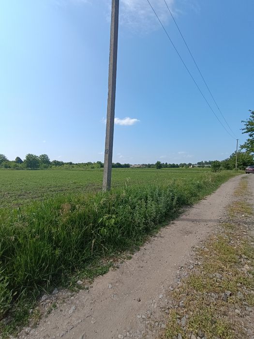 Продається гарна рівна ділянка в Гавришівці