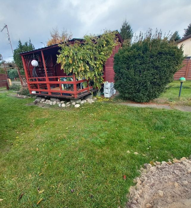 Sprzedam działkę ROD  w Ķórnik - Bnin