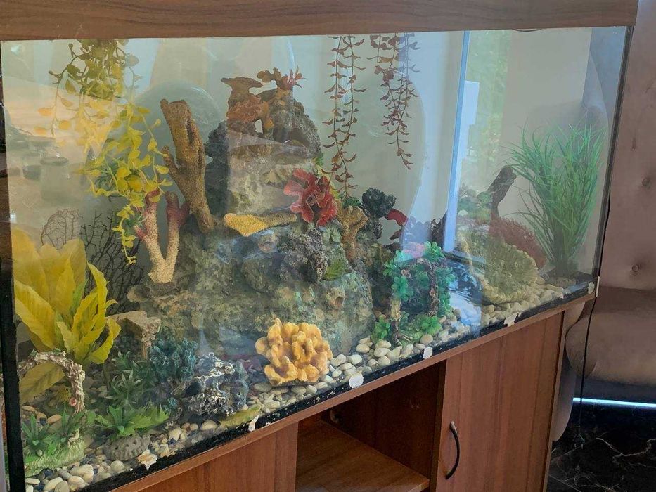 Шара )) морской мир без аквариума