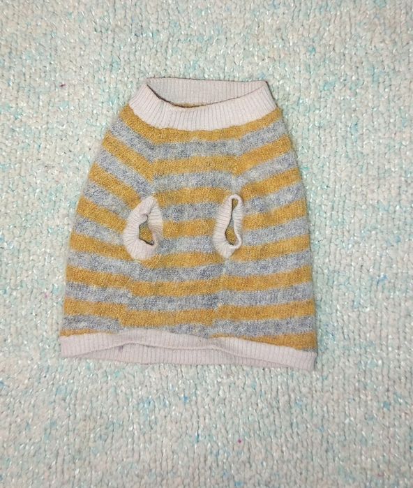 Одежа  на кошеня сфінкс або тойтер'єр светр кофта