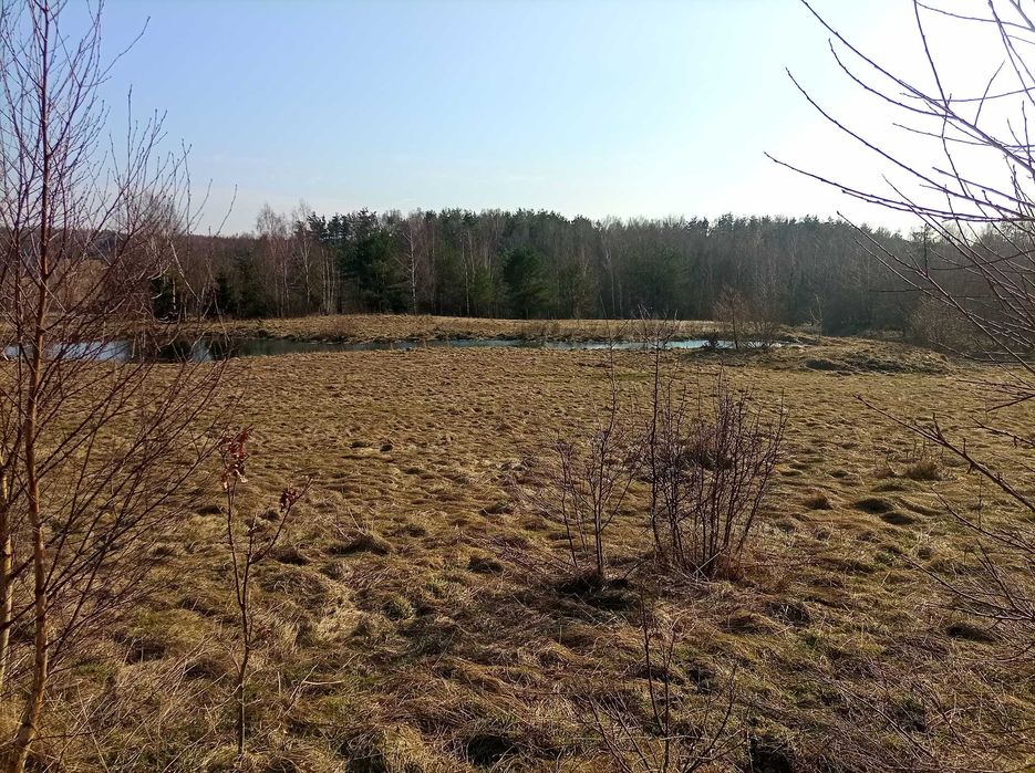Sprzedam działkę budowlaną w Pomlewie - MPZP