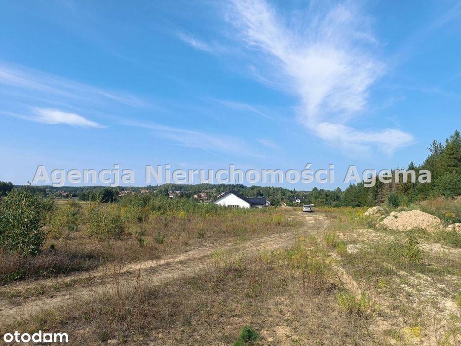 Działka, Studzianki