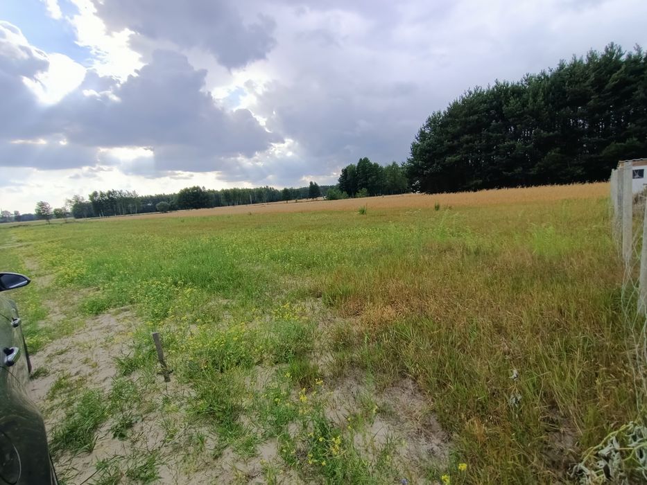 Działka budowlana Nowa Wola gmina Jedlińsk