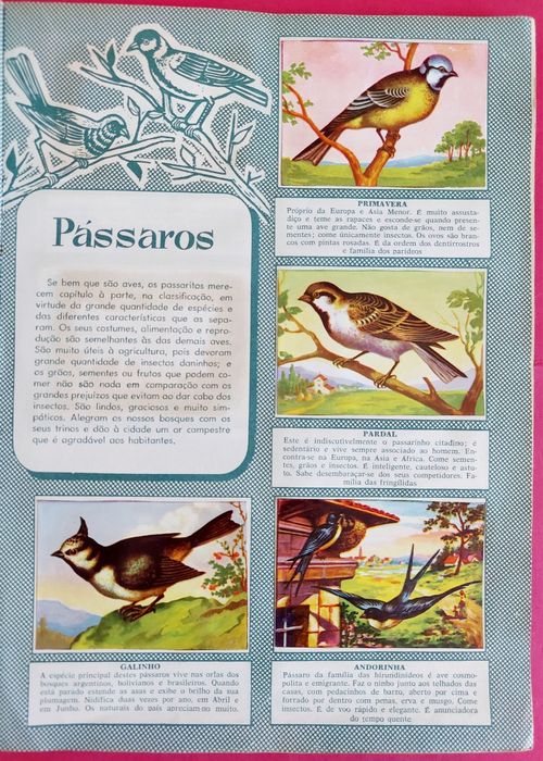 Caderneta 1958 História Natural
