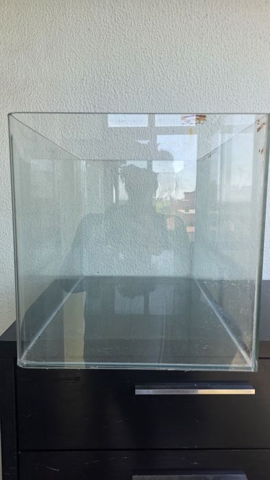 Estrutura de Aquário em vidro para peixes / répteis