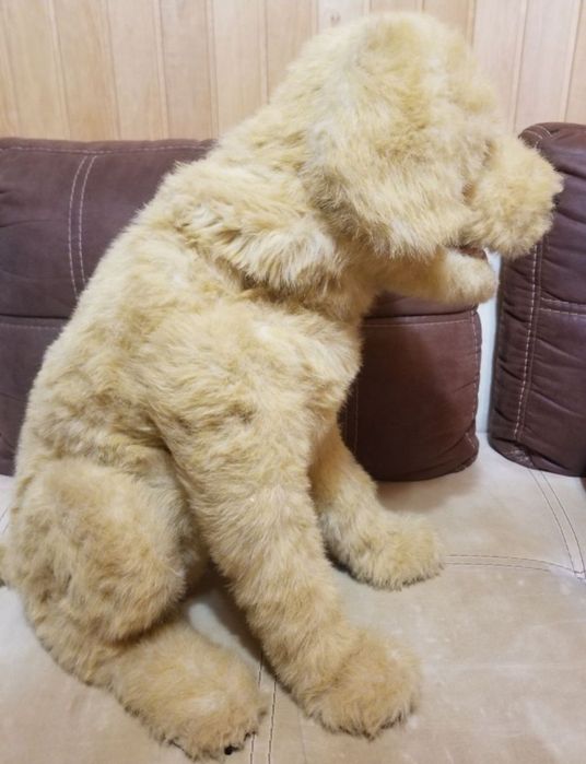 Интерактивная собака Бисквит, Biscuit