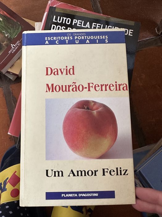 livro David Mourão-Ferreira - Um Amor Feliz.