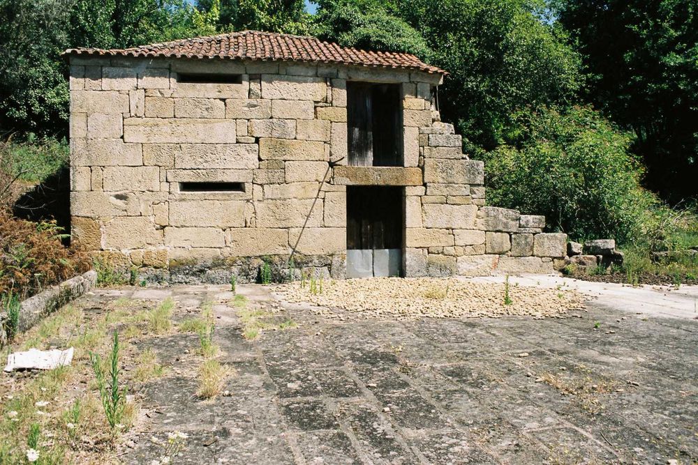 Venda de Quinta com acesso direto ao Rio Douro