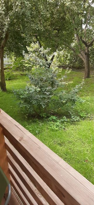 Продам дачу біля лісу 35м2 біля с.Устинкова Гребля