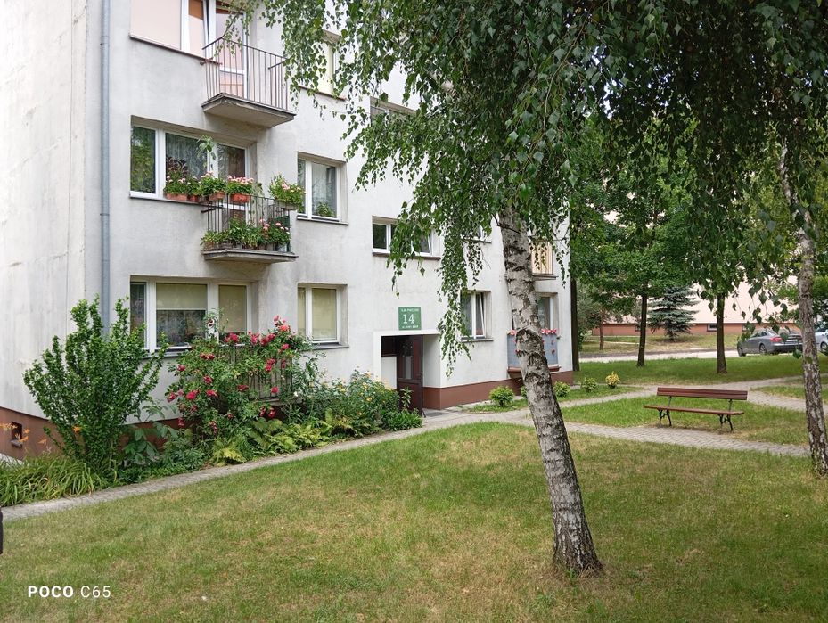Mieszkanie Nowy Świat gotowe do zamieszkania 2 pokoje,balkon-2 piętro - More